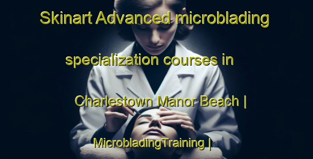 Skinart Advanced microblading specialization courses in Charlestown Manor Beach | MicrobladingTraining | MicrobladingClasses | SkinartTraining-United States